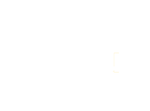 Graphic Design and Digital Marketing Services in Malappuram by Rishad Pulikkal